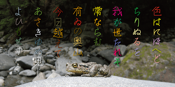 Card displaying AB Seiryu Light typeface in various styles