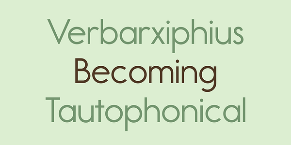 Card displaying Report School typeface in various styles