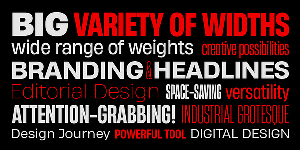 Card displaying Heading typeface in various styles