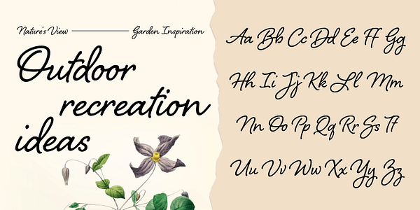 Card displaying Shelby typeface in various styles
