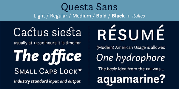 Card displaying Questa Sans typeface in various styles