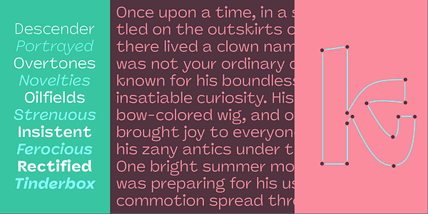 Card displaying Panel Sans typeface in various styles