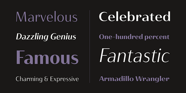 Card displaying Haboro Contrast typeface in various styles