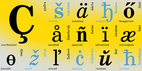 Card displaying SchoolBook typeface in various styles