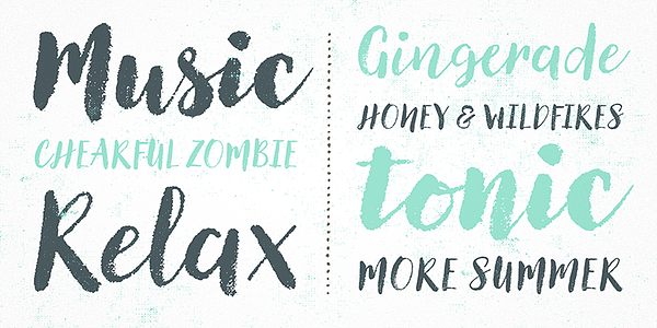 Card displaying Canvas Script typeface in various styles