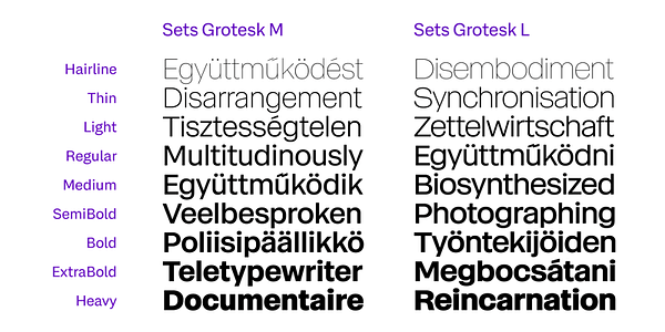 Card displaying Sets Grotesk typeface in various styles