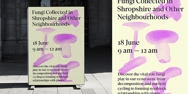 Card displaying Loretta Display Variable typeface in various styles