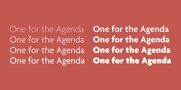 Card displaying Agenda One typeface in various styles