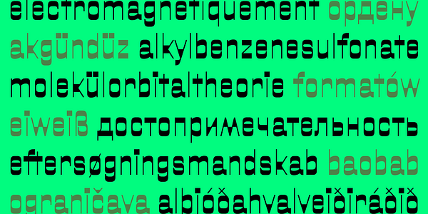 Card displaying Oigle typeface in various styles