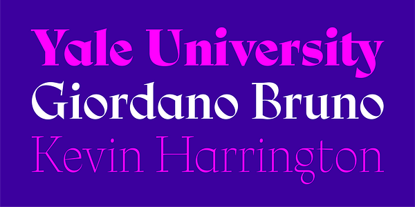 Card displaying Ciclo Display typeface in various styles