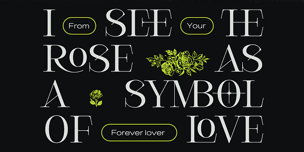 Card displaying Cesso typeface in various styles