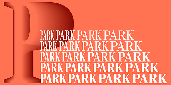 Ȯ_[Dpg] Card displaying Rocky typeface in various styles_Ȯ