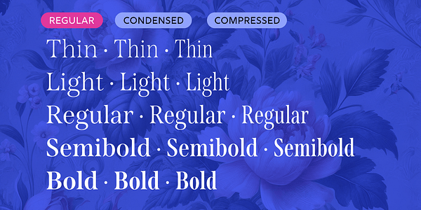 Card displaying Span typeface in various styles