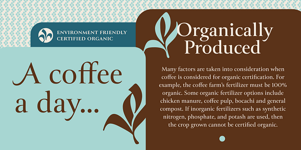 Card displaying Canto typeface in various styles