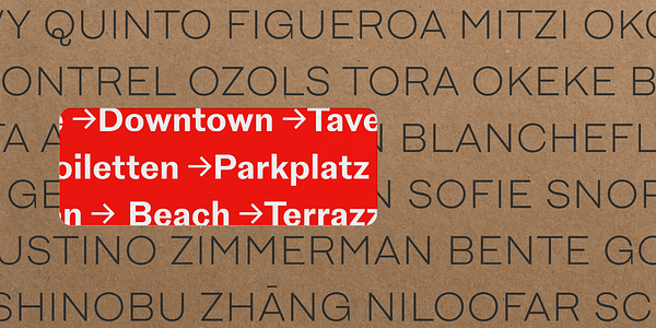 Card displaying New Reason typeface in various styles