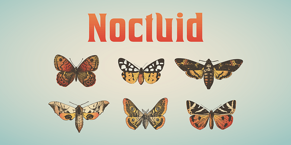 Card displaying House of cards typeface in various styles