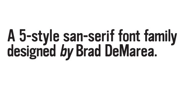 Card displaying Vinyl typeface in various styles