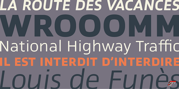 Card displaying Prosaic typeface in various styles