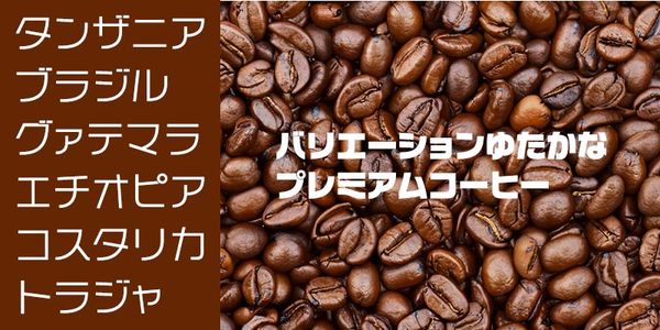 Card displaying Logo Arl Std typeface in various styles