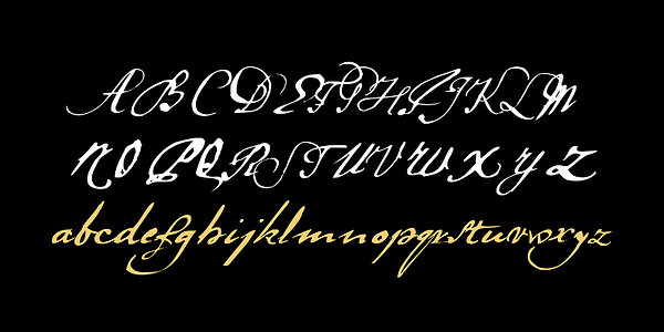 Card displaying LaDanse typeface in various styles