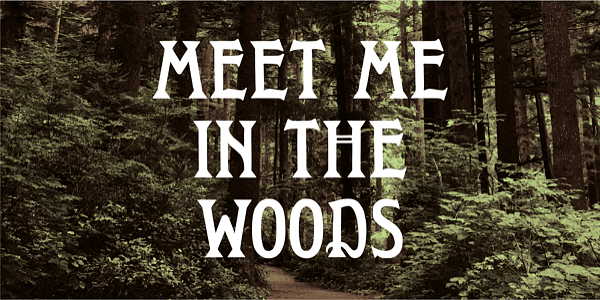 Card displaying WTR Roycroft typeface in various styles