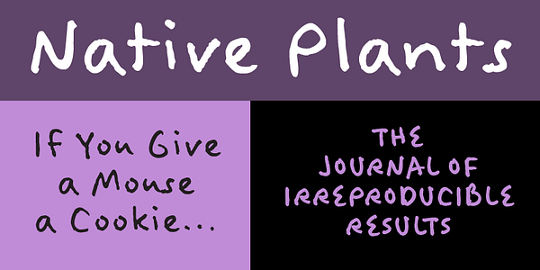 Card displaying Felt Tip Woman typeface in various styles