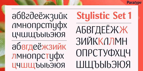 Card displaying Crassula typeface in various styles