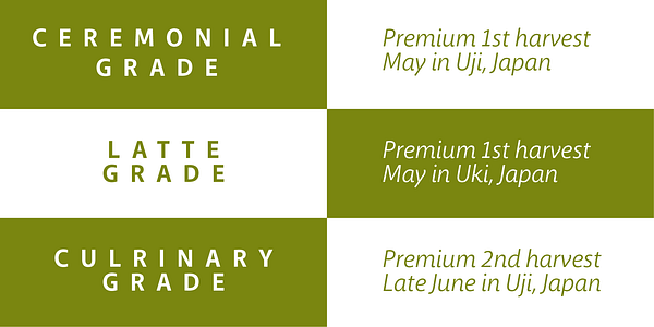 Card displaying Macha typeface in various styles