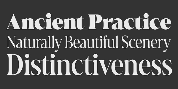 Card displaying Marlide Display Variable typeface in various styles