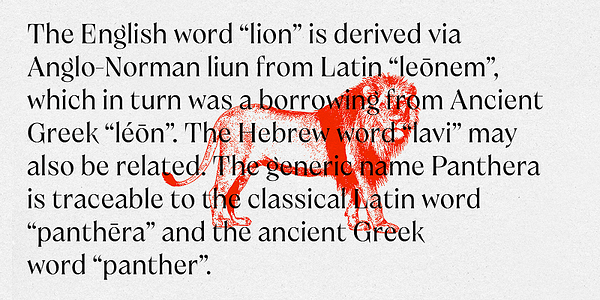 Card displaying Brillante Variable typeface in various styles