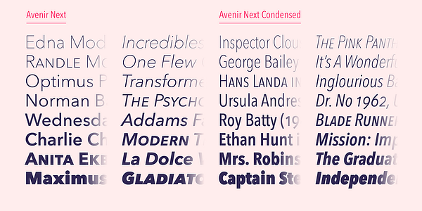Card displaying Avenir Next typeface in various styles