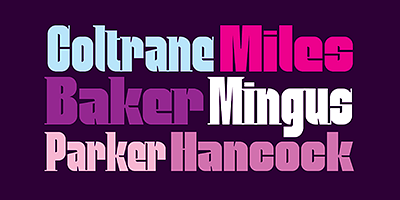 Card displaying Mobley Sans typeface in various styles