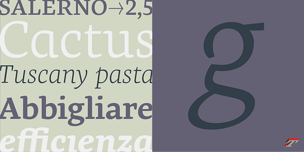 Card displaying Geneo typeface in various styles