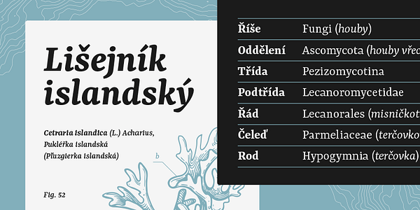 Card displaying Yrsa typeface in various styles