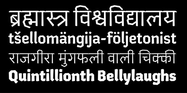 Card displaying Chikki Devanagari typeface in various styles