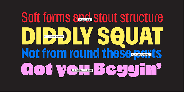 Card displaying Please Variable typeface in various styles