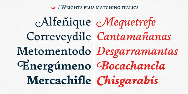 Card displaying Pliego typeface in various styles