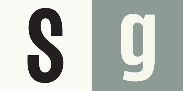 Card displaying Squeezed typeface in various styles