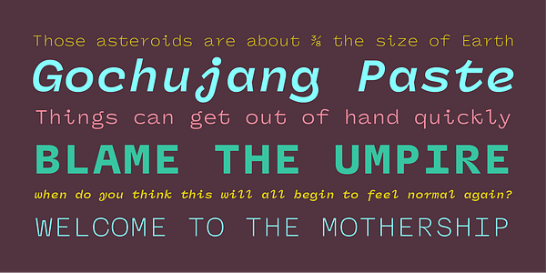 Card displaying Panel Sans Mono typeface in various styles