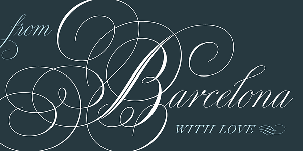 Card displaying Medusa typeface in various styles