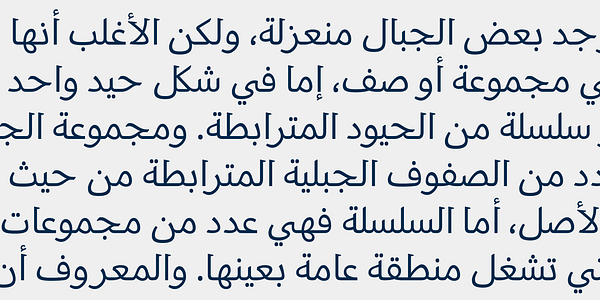 Card displaying Cordale Arabic typeface in various styles