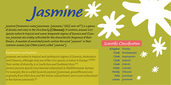 Card displaying MVB Calliope typeface in various styles
