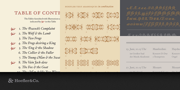 Card displaying Hoefler Text typeface in various styles