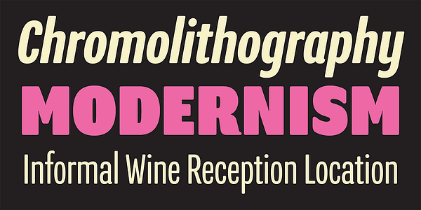 Card displaying Program typeface in various styles