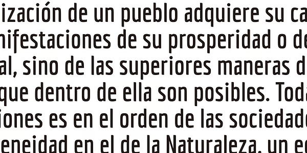 Card displaying Economica typeface in various styles