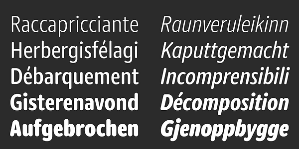 Card displaying Dita typeface in various styles
