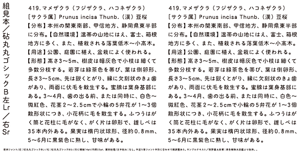 Card displaying Kinuta Maru Maru Gothic B typeface in various styles