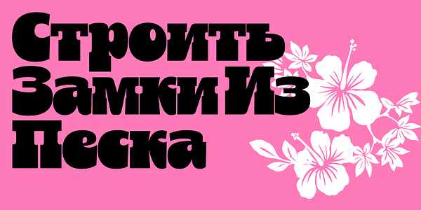 Card displaying Zeplin Variable typeface in various styles