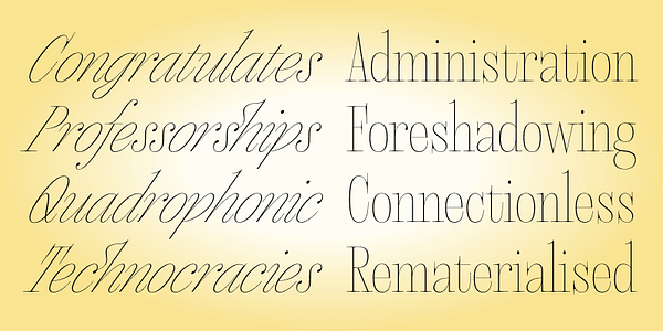 Card displaying Megumi typeface in various styles