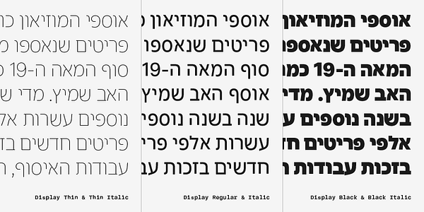 Card displaying Adapter Hebrew Display typeface in various styles